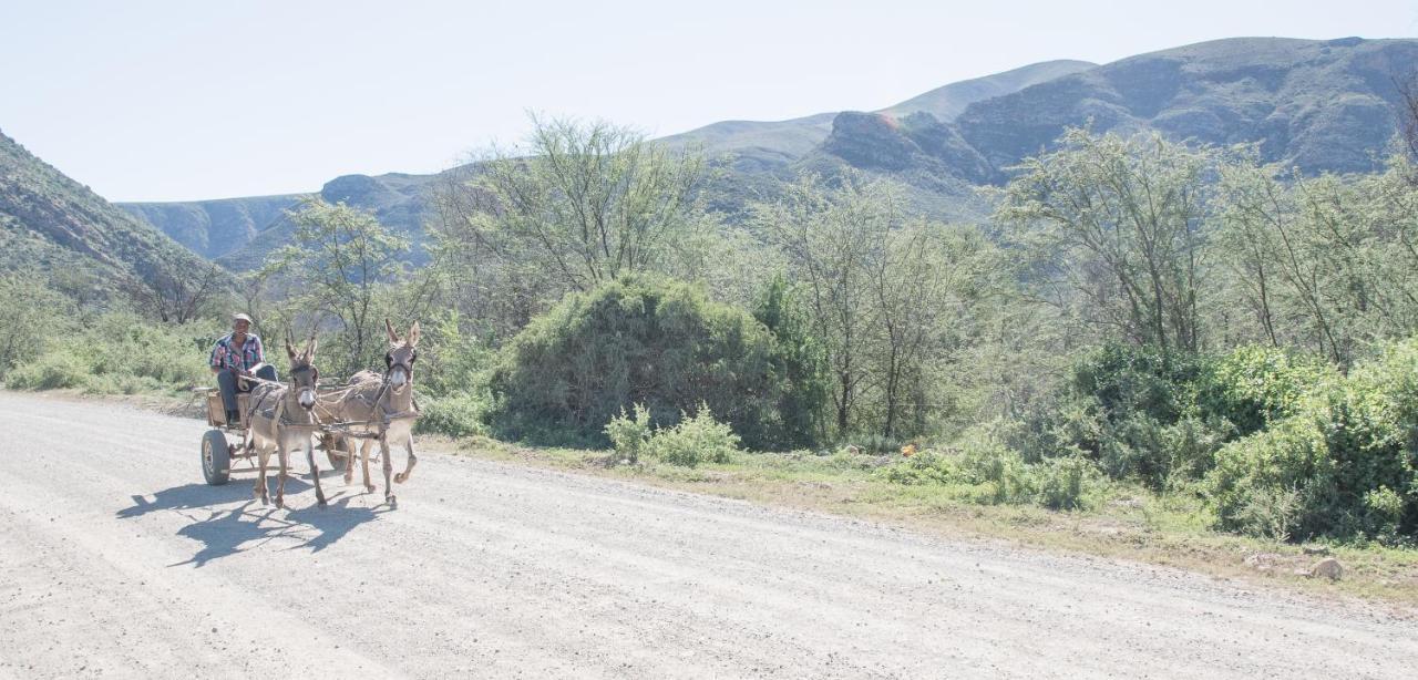 Sederkloof Lodge Studtis Екстер'єр фото